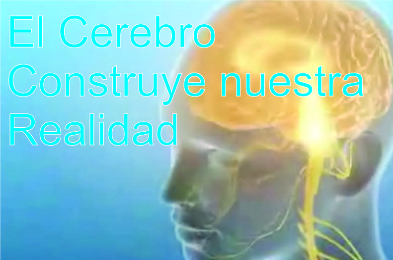 El Cerebro construye nuestra realidad
