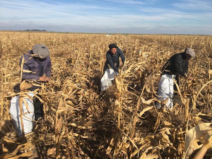 Cambio climático y sequía, desafíos para la sobrevivencia de la humanidad