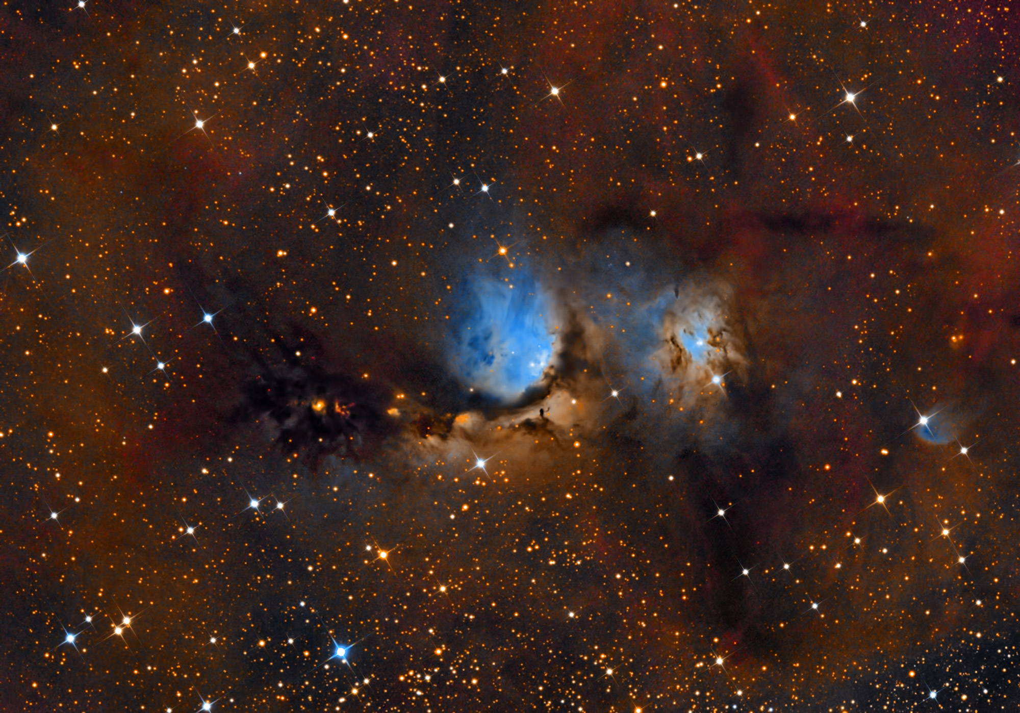 Conocias a la Nebulosa Messier 78?