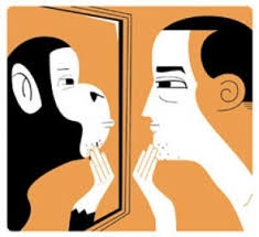 Tenemos grandes similitudes de conducta con la de los animales