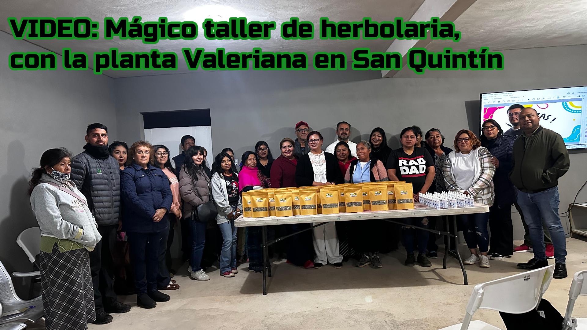 VIDEO: Taller de Valeriana y Medicina Tradicional en San Quintín
