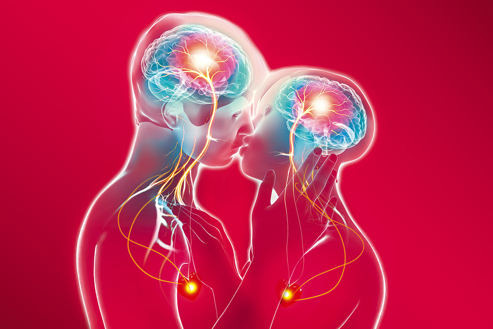 Te amo con todo mi cerebro