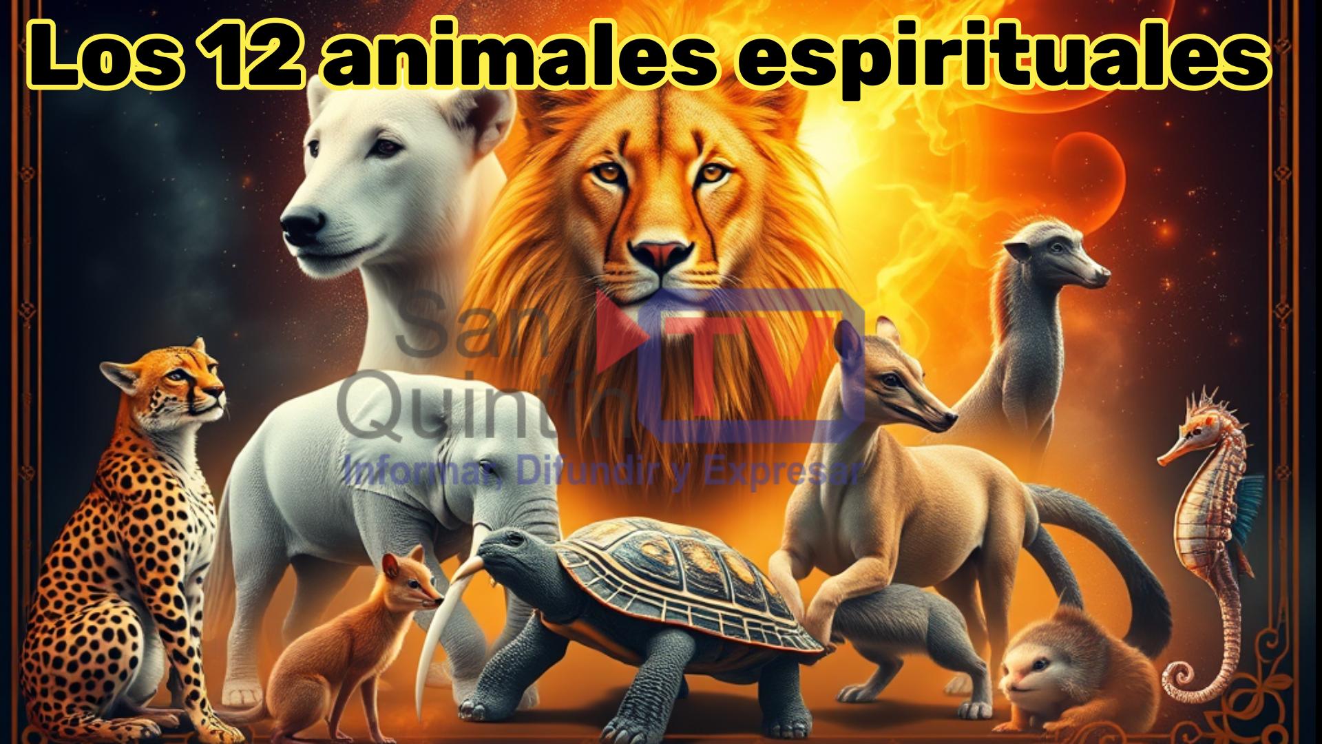 ¿Sabes cual es tu animal espiritual según tu fecha de nacimiento?