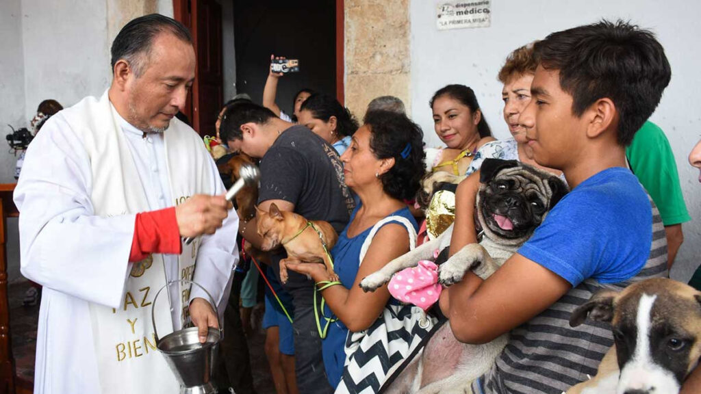 Bendicen animales en parroquias por el Día de San Isidro Labrador