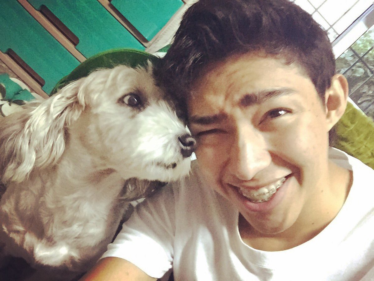 Fallece Curly la entrañable mascota del influencer Fernanfloo a los casi 14 años