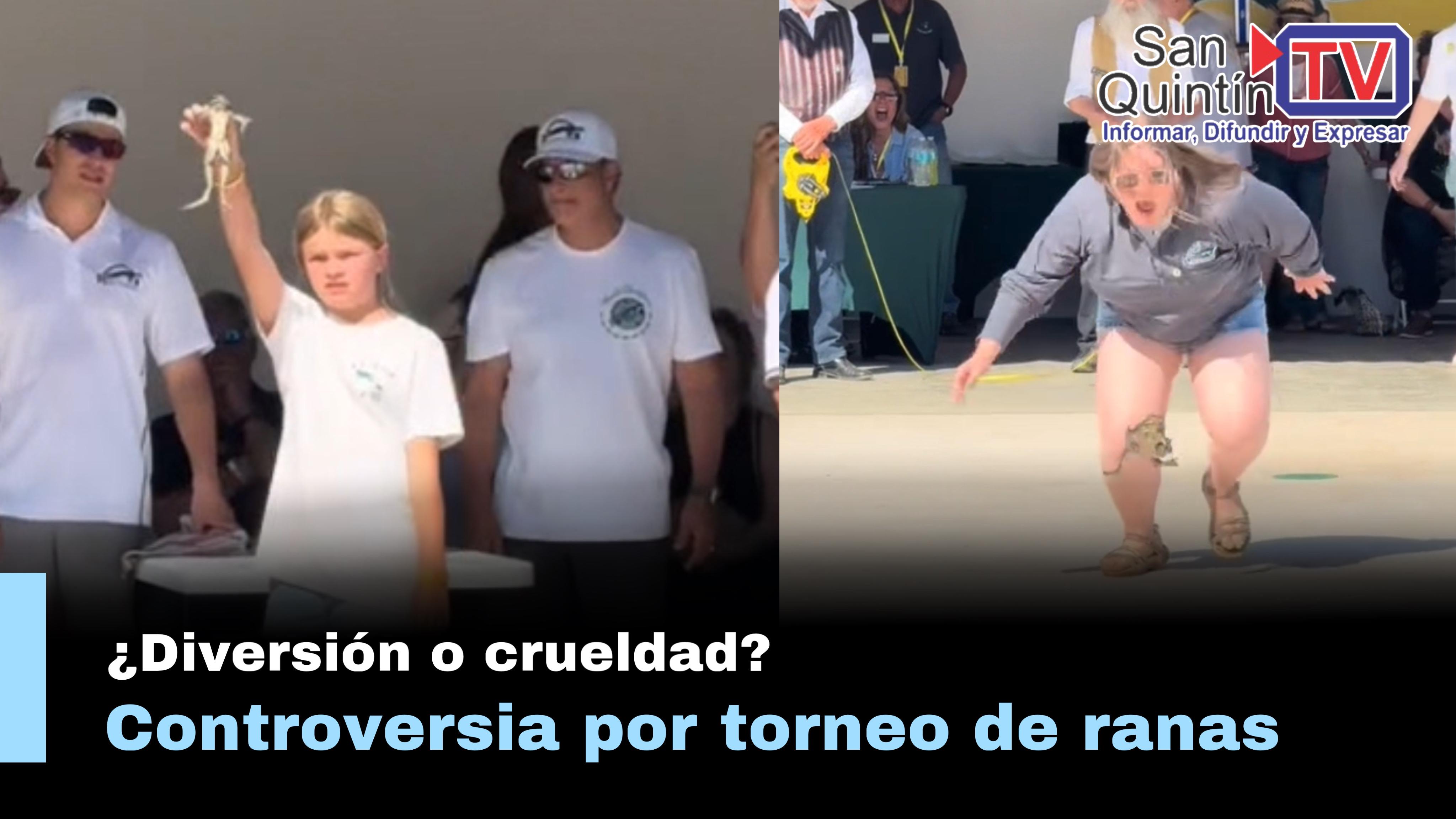 Controversia por maltrato animal; por el torneo de ranas celebrado en California