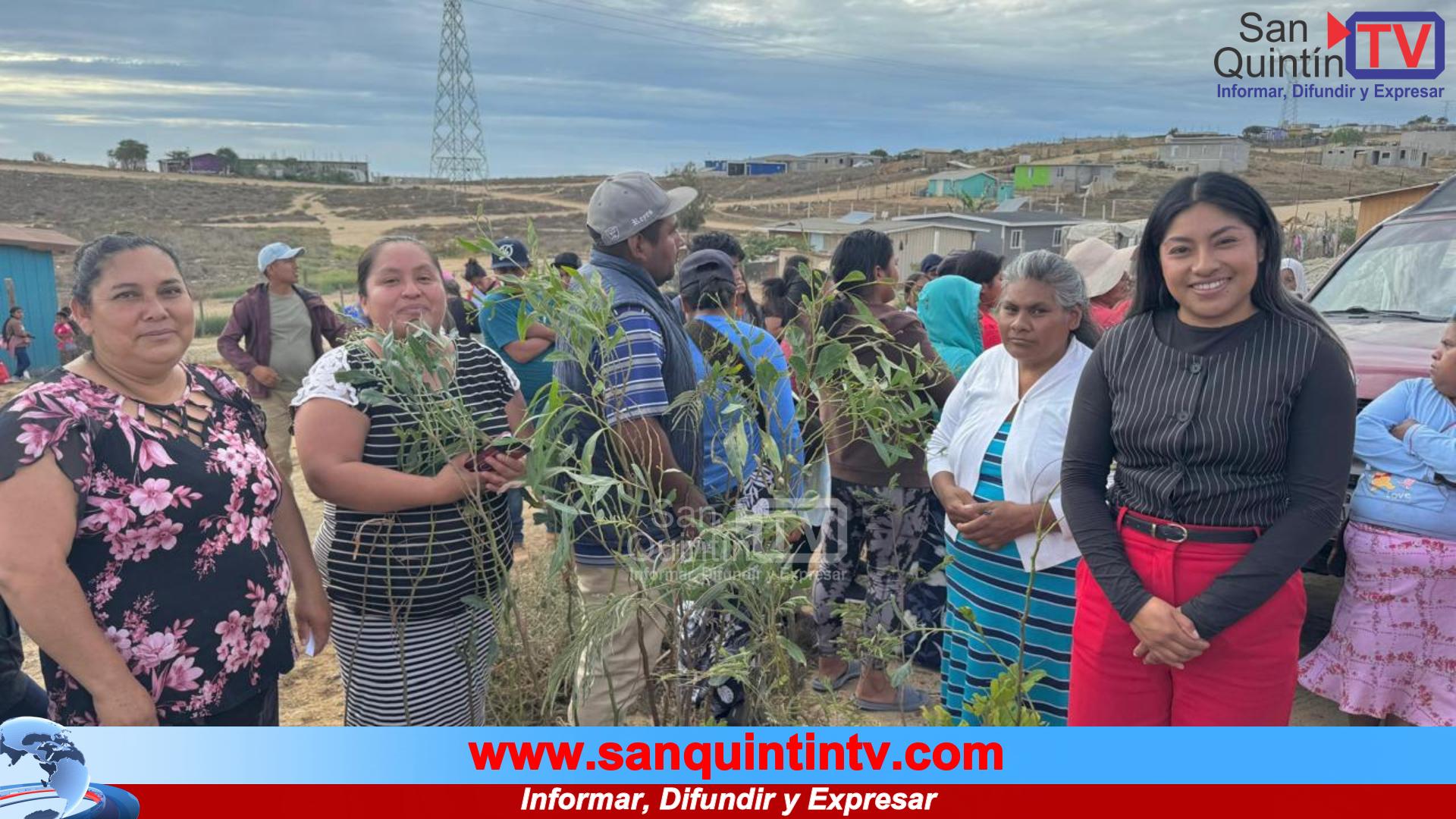 Vecinos de San Quintín dan vida a su comunidad con la reforestación de 90 árboles