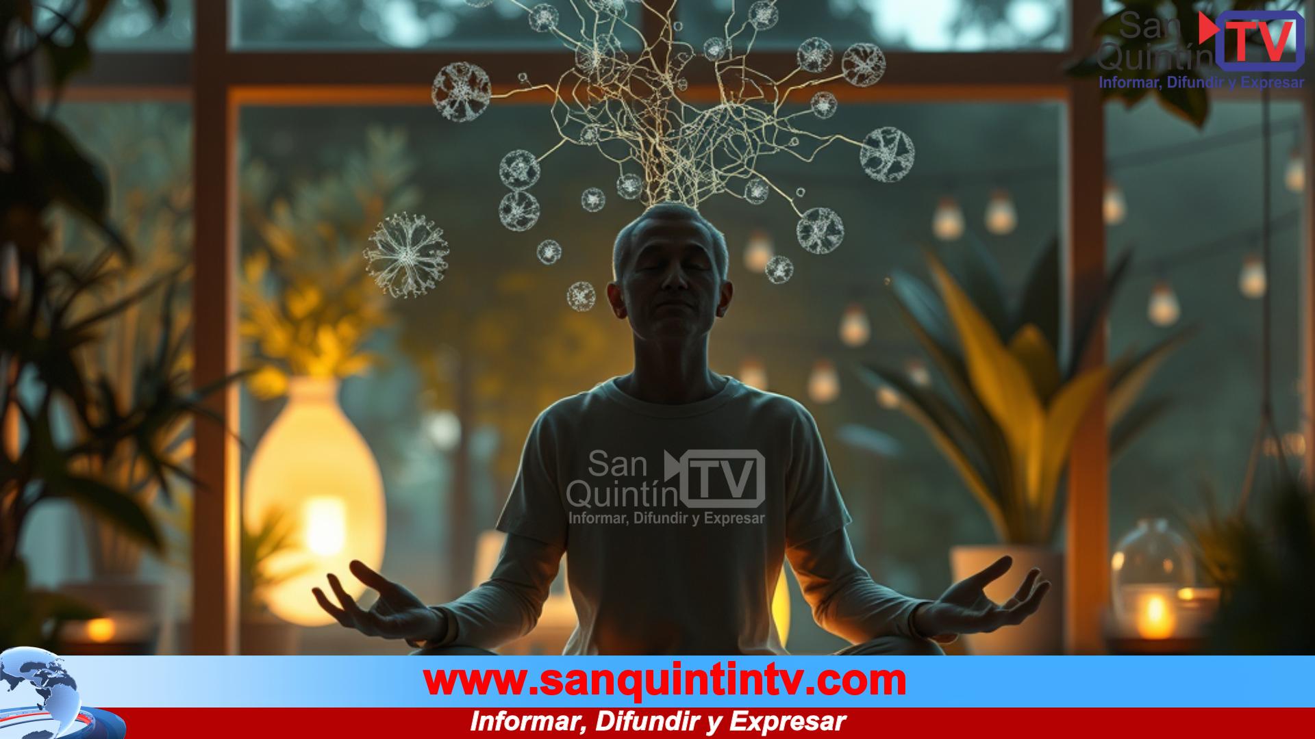 Entrena tu cerebro: la nueva ruta para vencer el estrés y cultivar pensamientos que transforman tu vida