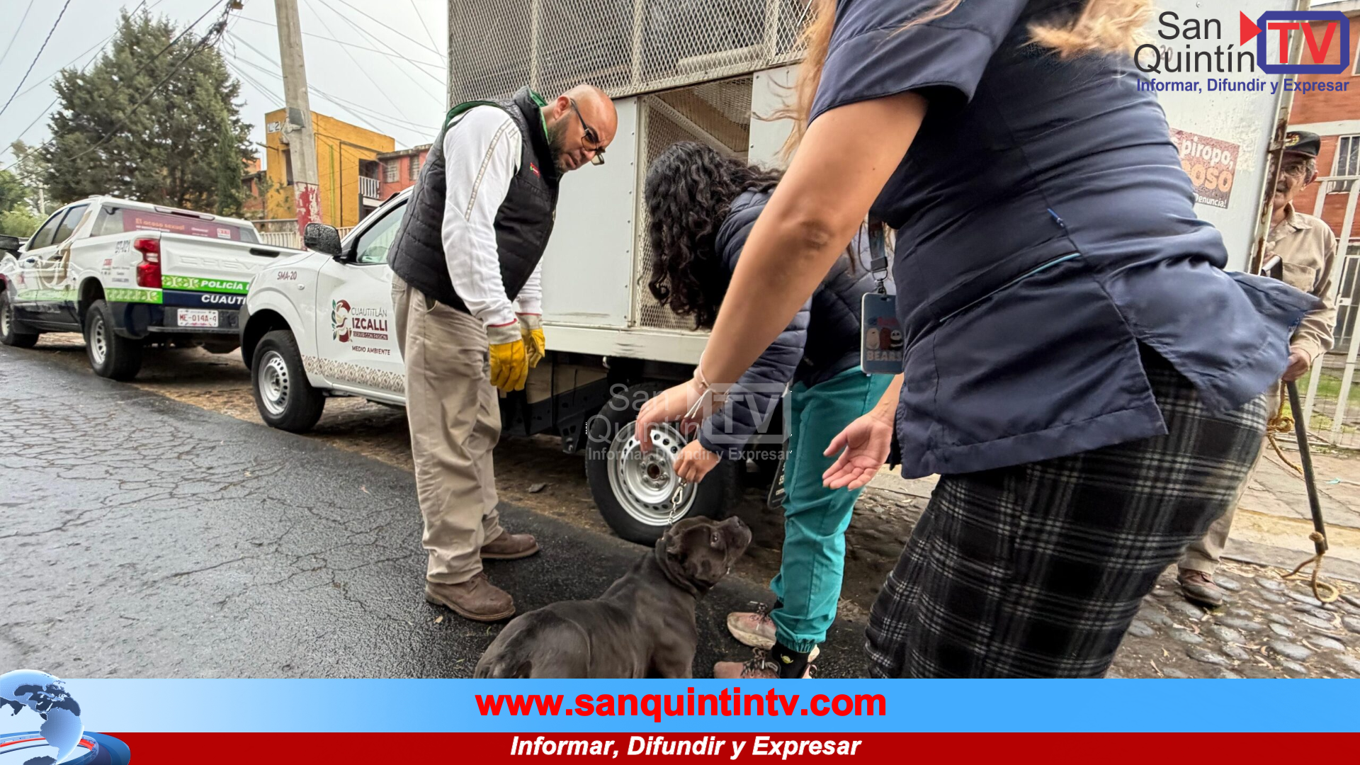 Denuncia ciudadana salva a 11 perros de un entorno de crueldad en Cuautitlán Izcalli