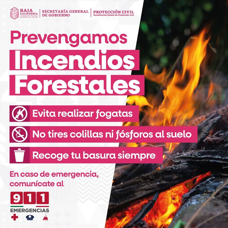 ALERTA EN BAJA CALIFORNIA: AUMENTA RIESGO DE INCENDIOS POR CALOR Y VIENTOS